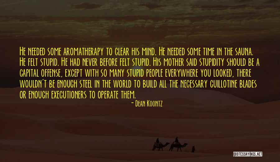 Time To Clear My Mind Quotes By Dean Koontz