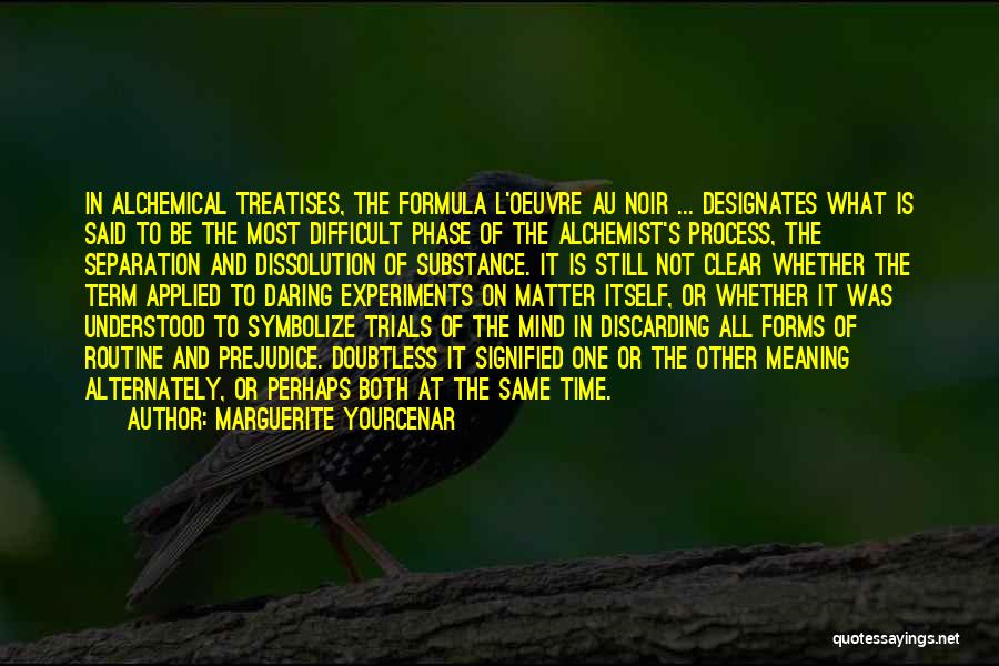 Time To Clear My Mind Quotes By Marguerite Yourcenar