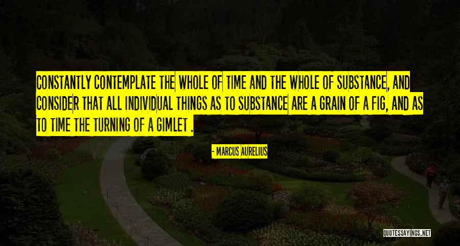 Time To Contemplate Quotes By Marcus Aurelius Time To Contemplate Quotes By Marcus Aurelius