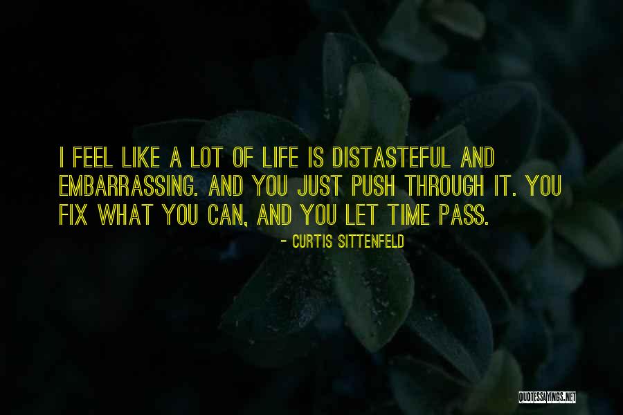 Time To Fix Myself Quotes By Curtis Sittenfeld Time To Fix Myself Quotes By Curtis Sittenfeld