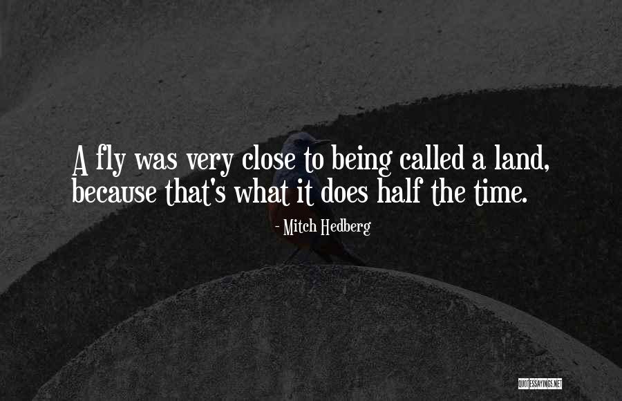 Time To Fly Quotes By Mitch Hedberg Time To Fly Quotes By Mitch Hedberg