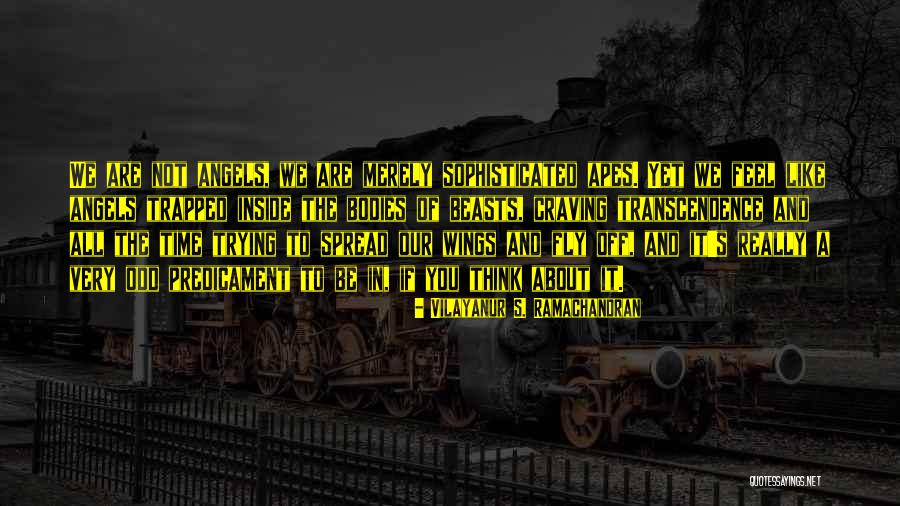 Time To Fly Quotes By Vilayanur S. Ramachandran Time To Fly Quotes By Vilayanur S. Ramachandran