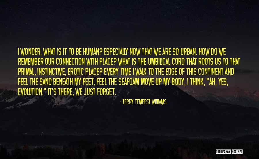 Time To Forget And Move On Quotes By Terry Tempest Williams Time To Forget And Move On Quotes By Terry Tempest Williams