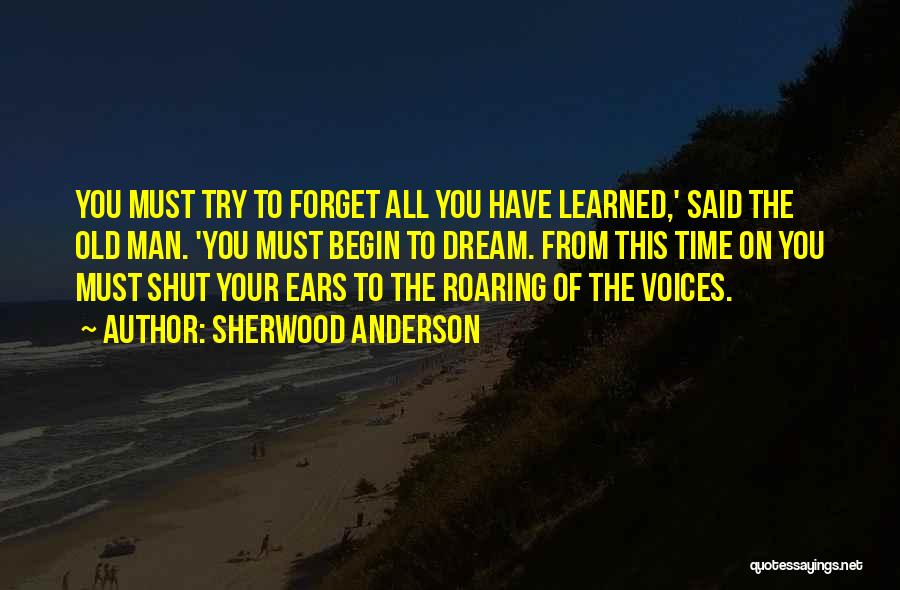 Time To Forget You Quotes By Sherwood Anderson