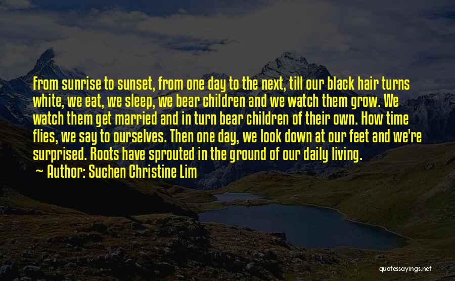 Time To Get Married Quotes By Suchen Christine Lim