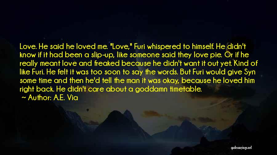 Time To Give Up Love Quotes By A.E. Via