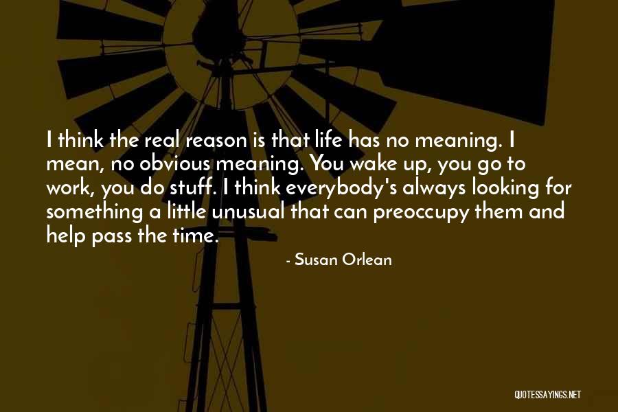 Time To Go To Work Quotes By Susan Orlean