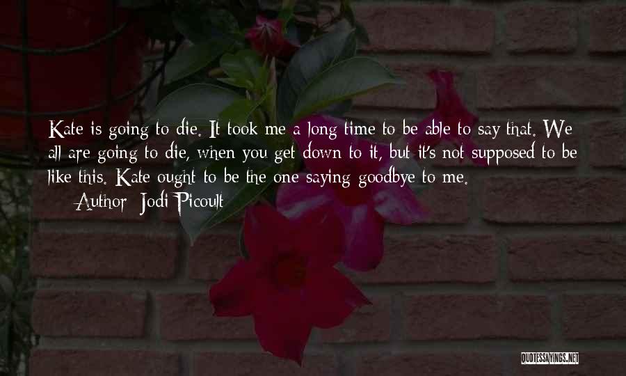 Time To Say Goodbye Quotes By Jodi Picoult