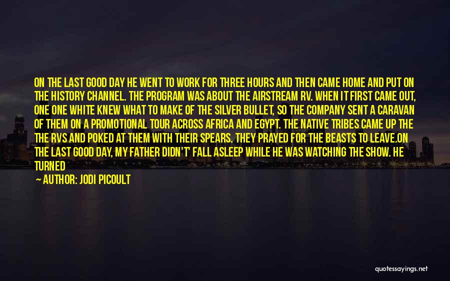 Time To Show The World Quotes By Jodi Picoult