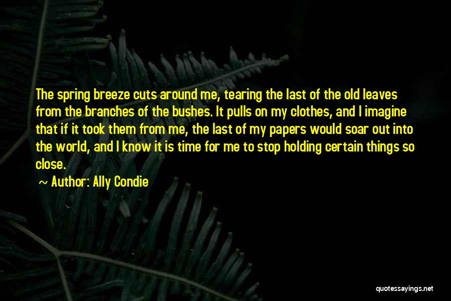 Time To Soar Quotes By Ally Condie