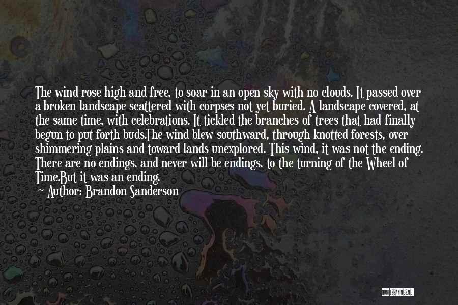 Time To Soar Quotes By Brandon Sanderson