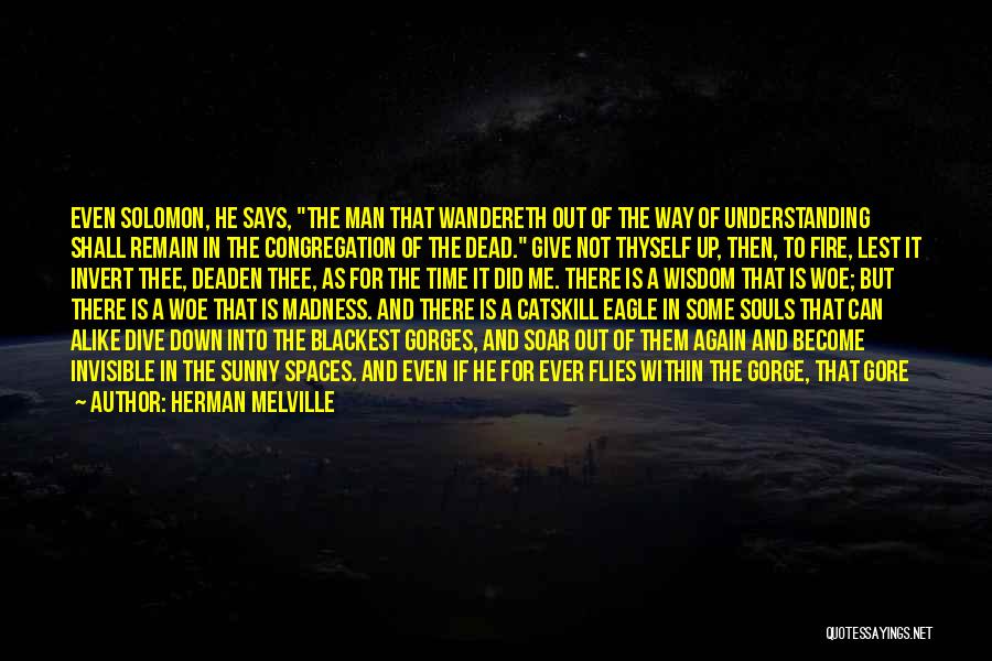 Time To Soar Quotes By Herman Melville