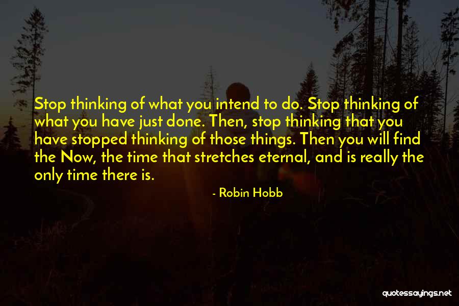 Time To Stop Now Quotes By Robin Hobb Time To Stop Now Quotes By Robin Hobb