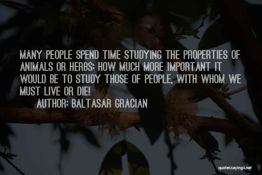 Time To Study Quotes By Baltasar Gracian