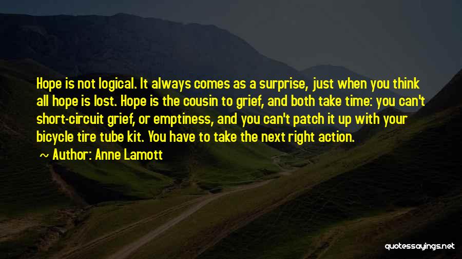Time To Take Action Quotes By Anne Lamott