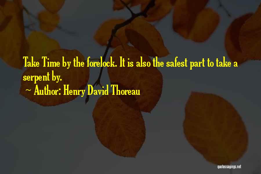 Time To Take Action Quotes By Henry David Thoreau