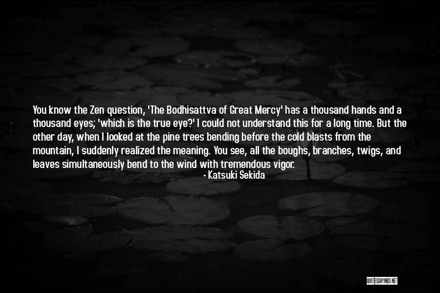 Time To Understand Quotes By Katsuki Sekida Time To Understand Quotes By Katsuki Sekida