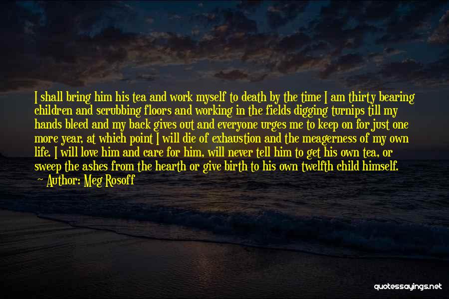 Time To Work On Myself Quotes By Meg Rosoff