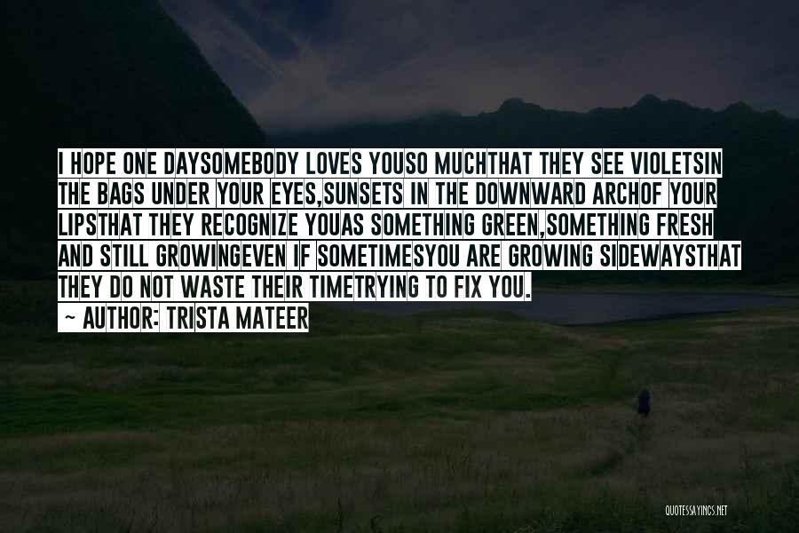 Time Waste In Love Quotes By Trista Mateer