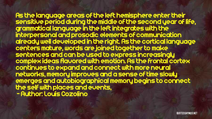 Time Well Used Quotes By Louis Cozolino