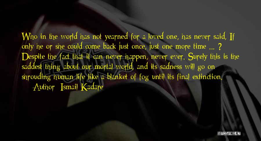 Time Will Not Come Back Quotes By Ismail Kadare