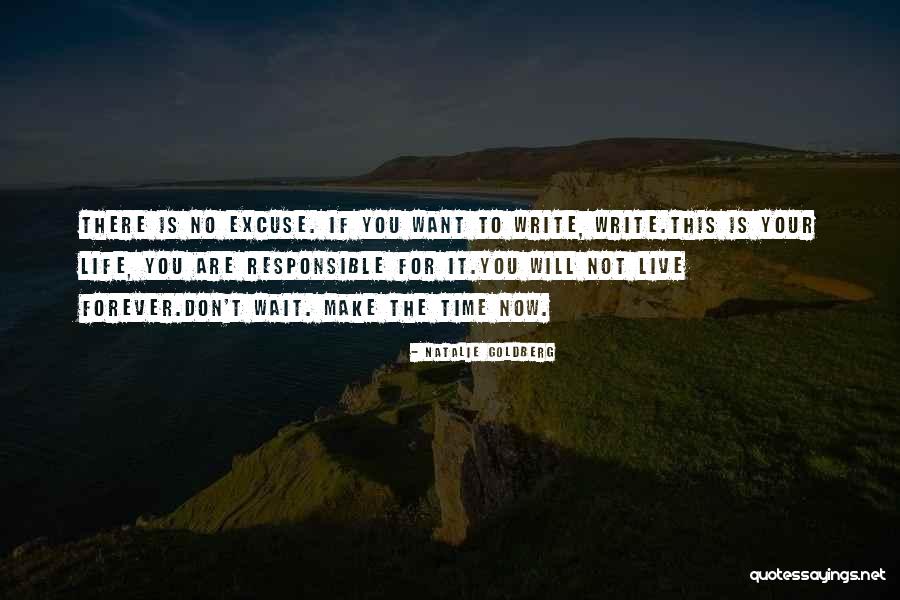Time Will Not Wait Quotes By Natalie Goldberg Time Will Not Wait Quotes By Natalie Goldberg