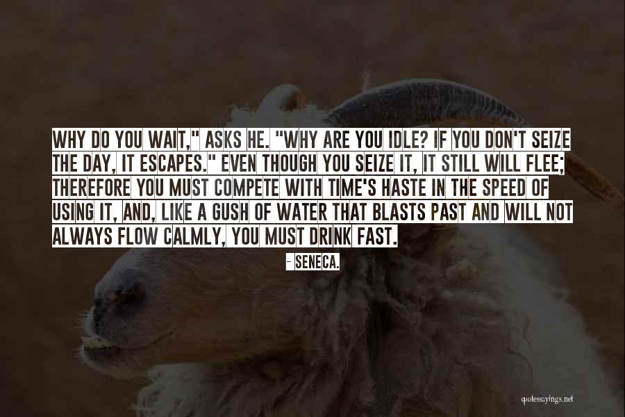 Time Will Not Wait Quotes By Seneca. Time Will Not Wait Quotes By Seneca.