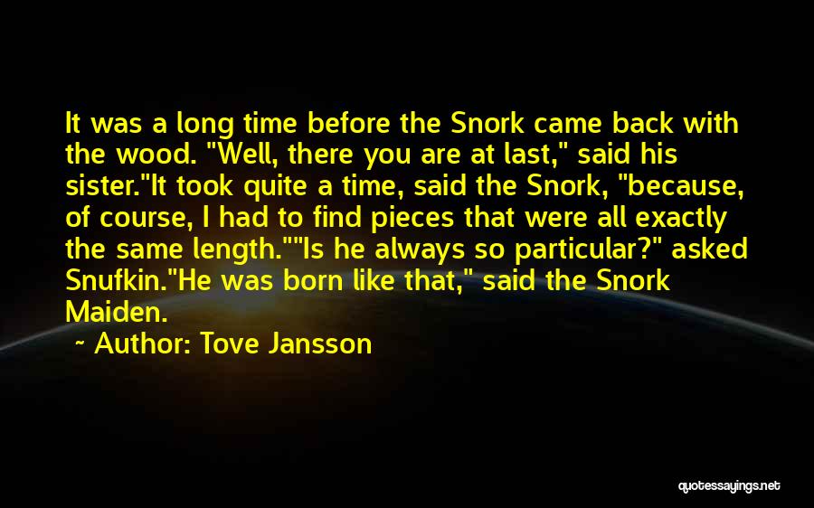 Time With Sister Quotes By Tove Jansson