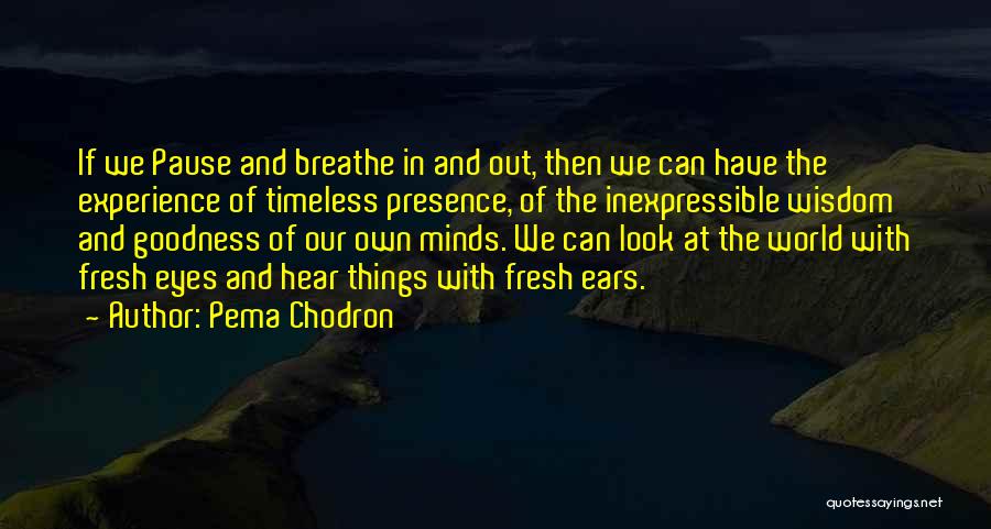 Timeless Wisdom Quotes By Pema Chodron