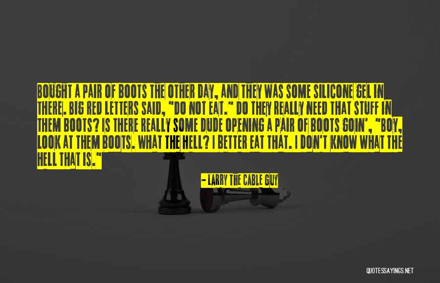 Timepass Relationship Quotes By Larry The Cable Guy Timepass Relationship Quotes By Larry The Cable Guy