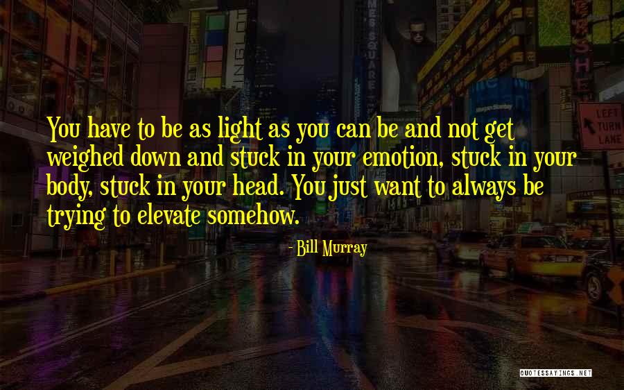 Timer Resolution Quotes By Bill Murray Timer Resolution Quotes By Bill Murray