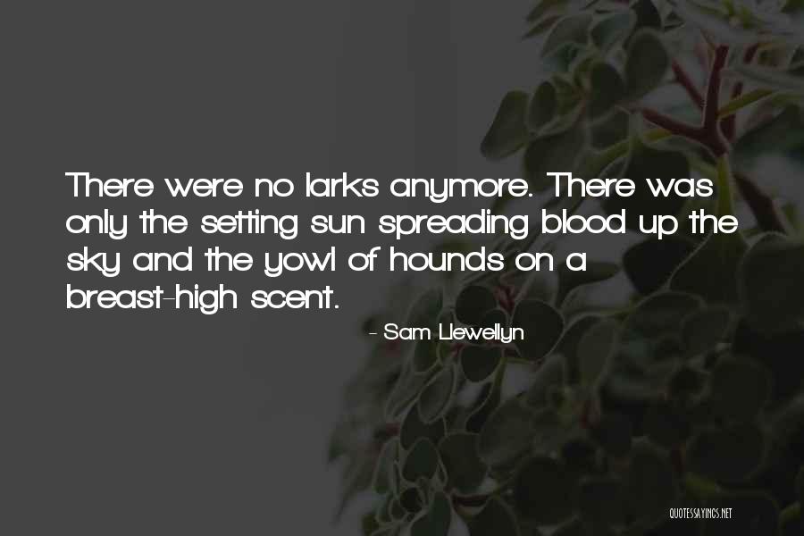 Times Butanta Quotes By Sam Llewellyn Times Butanta Quotes By Sam Llewellyn