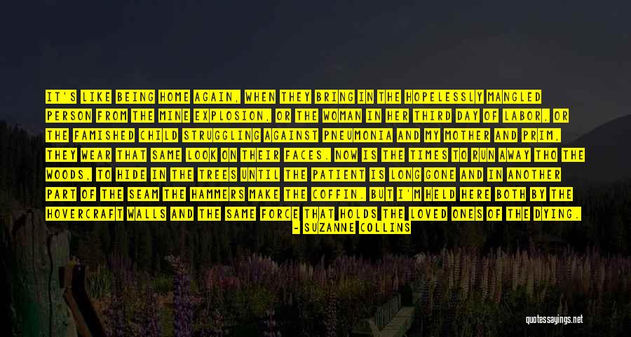 Times Gone By Quotes By Suzanne Collins Times Gone By Quotes By Suzanne Collins