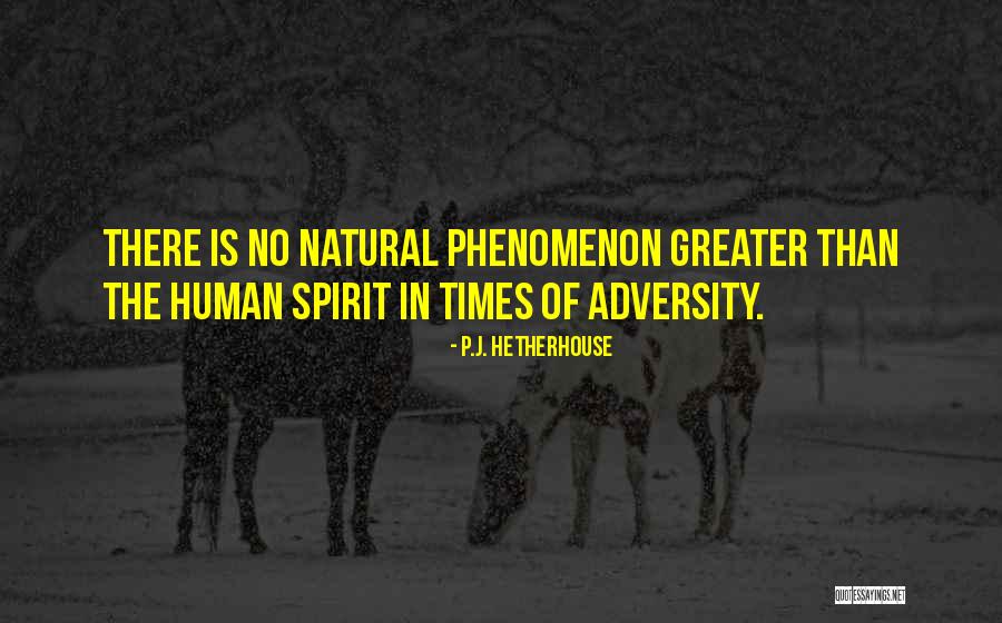 Times Of Adversity Quotes By P.J. Hetherhouse