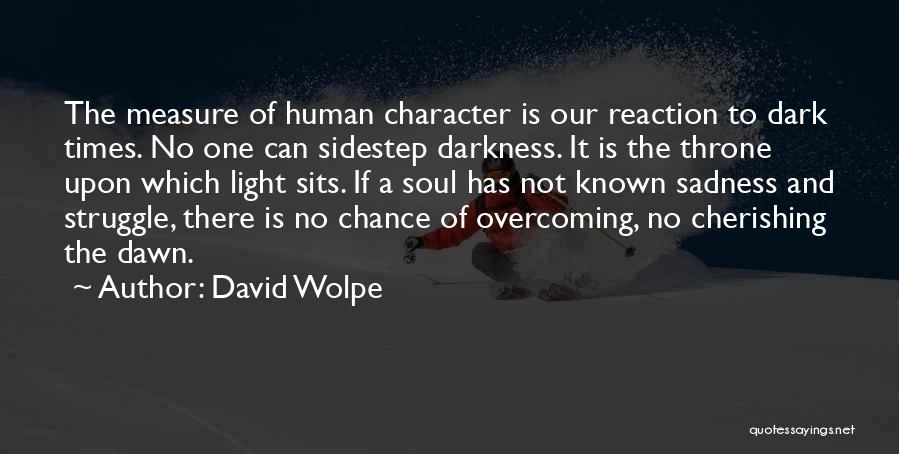 Times Of Sadness Quotes By David Wolpe