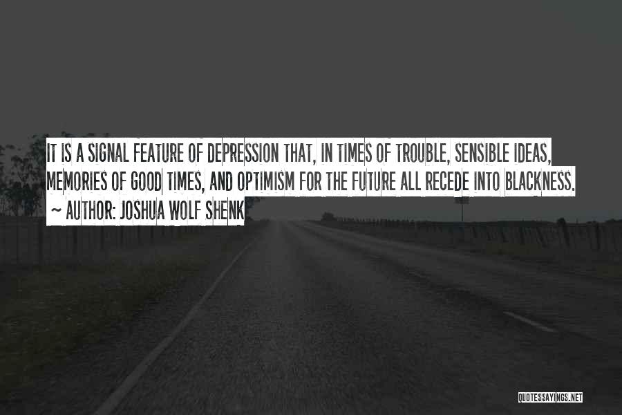 Times Of Trouble Quotes By Joshua Wolf Shenk
