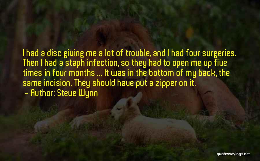 Times Of Trouble Quotes By Steve Wynn