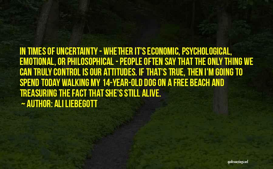 Times Of Uncertainty Quotes By Ali Liebegott