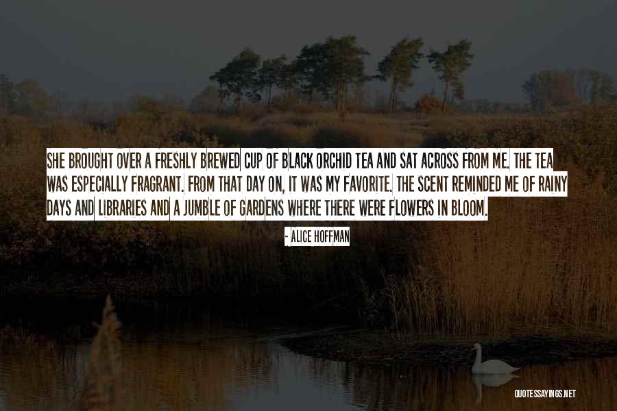 Timidekor Quotes By Alice Hoffman Timidekor Quotes By Alice Hoffman