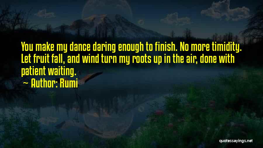 Timidity Quotes By Rumi