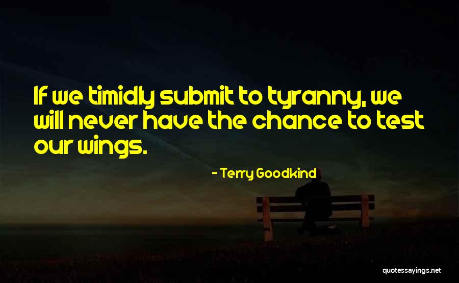 Timidly Quotes By Terry Goodkind Timidly Quotes By Terry Goodkind