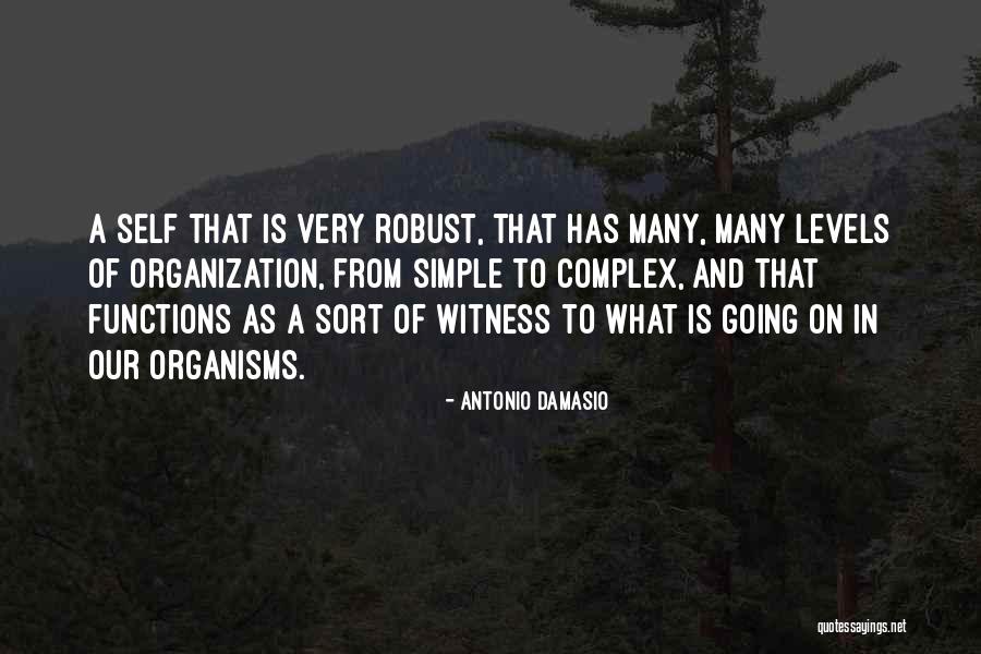 Timken Oil Seals Quotes By Antonio Damasio Timken Oil Seals Quotes By Antonio Damasio