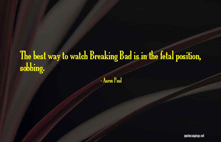 Timony Lower Quotes By Aaron Paul Timony Lower Quotes By Aaron Paul
