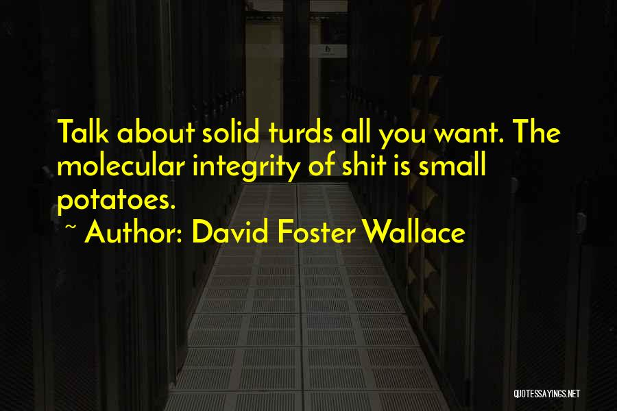 Timosol Quotes By David Foster Wallace