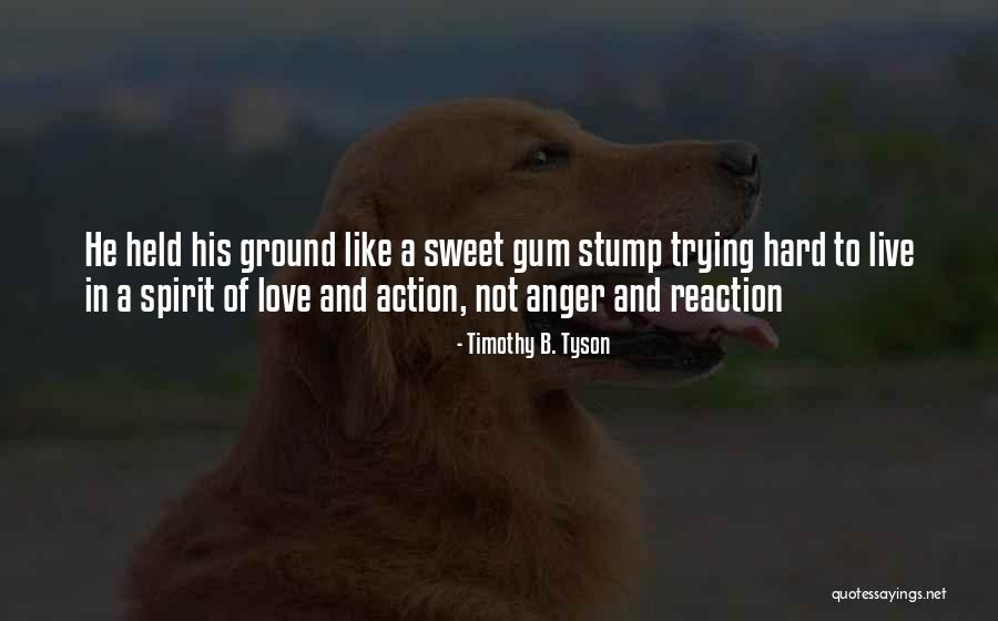 Timothy B. Tyson Quotes 130687 Timothy B. Tyson Quotes 130687