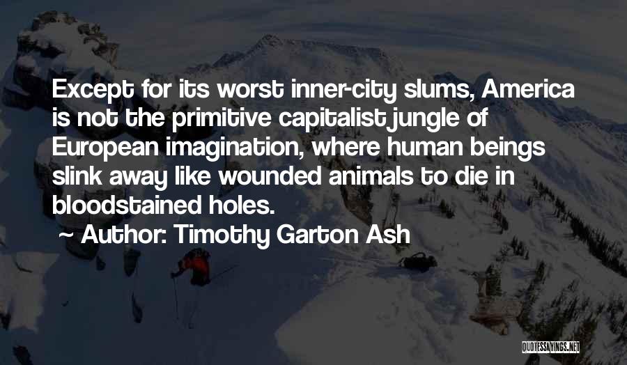 Timothy Garton Ash Quotes 590431