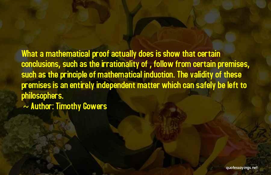 Timothy Gowers Quotes 1781993