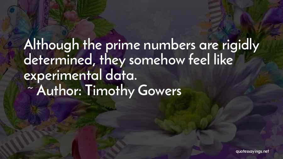 Timothy Gowers Quotes 2230408