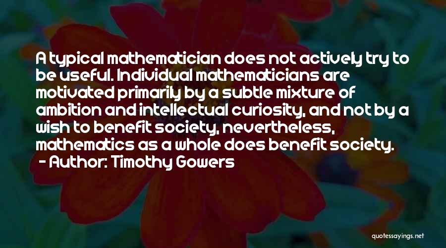 Timothy Gowers Quotes 230064