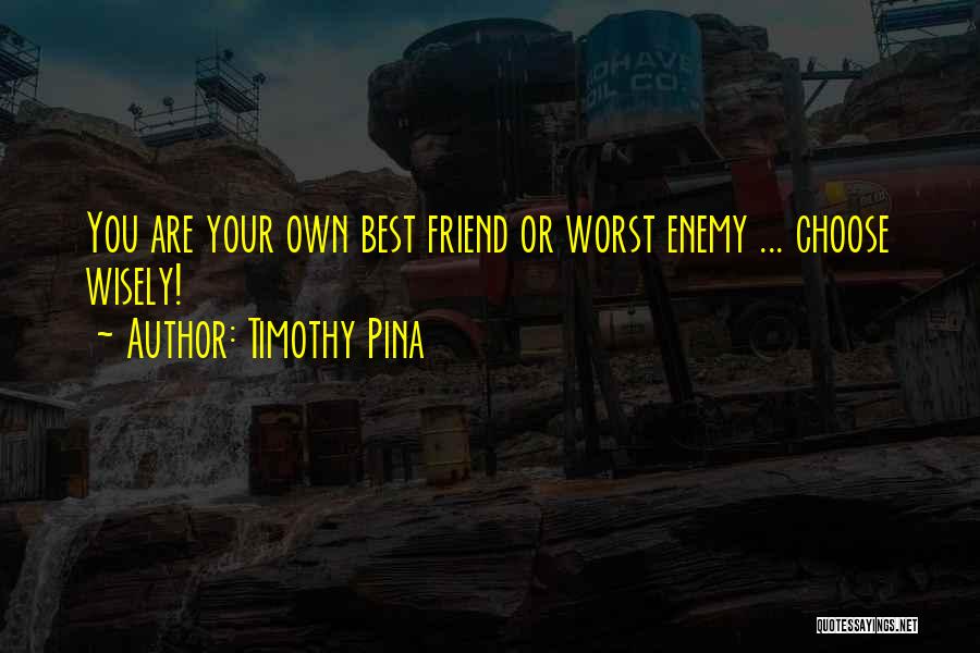 Timothy Pina Quotes 1094208